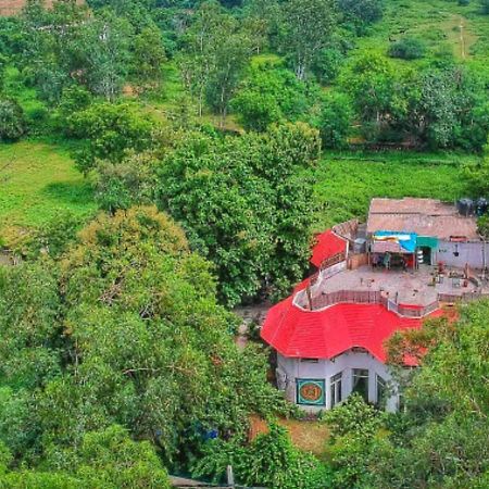 نيودلهي Roots Hostel المظهر الخارجي الصورة